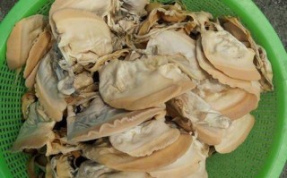 贝壳吃哪里（贝壳吃哪里的肉图解）