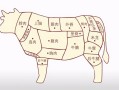 牛肉哪个部位没有筋,牛肉哪里没有筋膜
