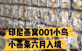 怎样在印尼买燕窝往回带,印尼燕窝在印尼哪里卖的