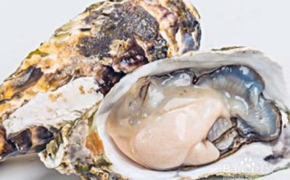 海蛎子哪里不能吃（海蛎子哪里不能吃图解）