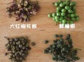 花椒哪里的好吃（花椒哪里的好吃又香）
