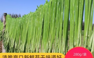 贡菜哪里产的最好,贡菜是哪里的特产