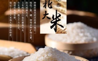 东北哪里的大米最好吃（东北哪里的大米最好吃又便宜）