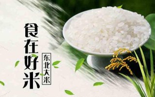 大米是东北的好，还是内蒙的好,哪里大米最好吃最正宗
