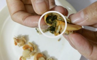 扇贝能吃的部分,扇贝要吃哪里的肉