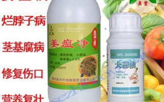 姜地消毒杀菌哪种药好,药姜哪里的最好吃