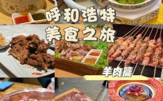 内蒙古十大羊肉排名,中国哪里羊肉最好
