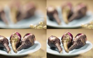 茄子蒂是哪里（茄子蒂指的是哪里）
