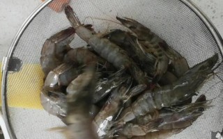 吃鱼生的地方,虾在哪儿