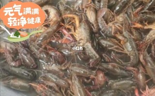 下龙虾吃哪里好吃（下龙虾用什么饲料好）