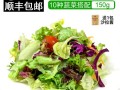 色拉青菜是什么,色拉生菜哪里买的到