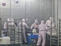巴比馒头上班怎么样（上海小馒头工厂累不累）