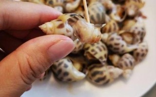 花螺哪个位置不能吃,花螺哪里不能吃图解