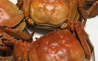 河蟹哪里的好吃（河蟹哪里的好吃又便宜）