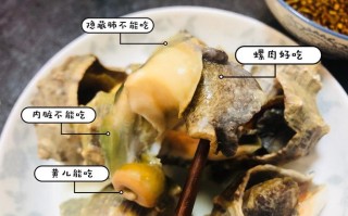 水煮海螺哪里不能吃图（海螺煮后怎么能扣出来）