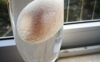 鸡蛋液是哪里（鸡蛋液的成分是什么）
