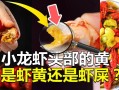 龙虾黄黄的东西是内脏还是虾黄,小龙虾的虾皇是什么
