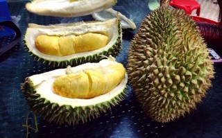 哪里买榴莲性价比最高,哪里榴莲便宜好吃又好吃