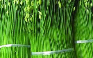 韭苔吃哪里（韭苔尖部能不能吃）