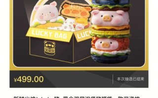 汉堡中的肉哪里买（麦当劳lulu猪汉堡哪里买）