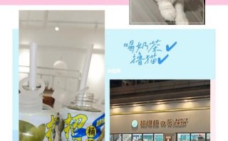 超级猫的茶怎么样（茶猫第一家店怎么样）