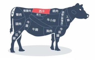 牛排是牛身上什么部位的肉啊,牛排是牛的哪个部位的肉