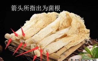 竹荪哪里不能吃（竹荪哪里不能吃图解）