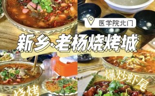 新乡哪里可以烧烤（新乡夜市排名）