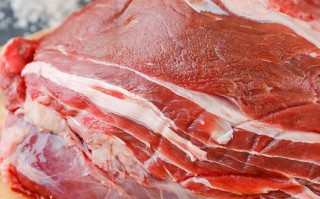 牛腱子是哪里的肉（牛腱子肉是牛身体的哪个部位）