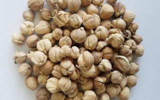 豆扣哪里最好（什么豆蔻好）