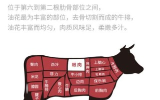 牛眼肉是哪里的肉,牛眼肉是哪里的肉