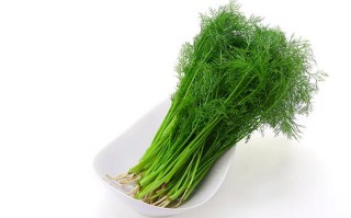 茴香吃哪里（茴香吃哪个部位）