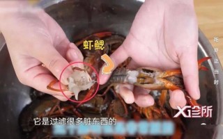 龙虾的虾黄在哪里（龙虾的虾黄在哪个位置）
