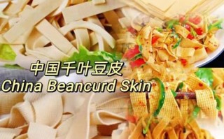 豆皮哪里的出名（豆皮哪里的出名好吃）