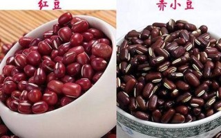 红豆哪里最好（红豆哪里最好吃）