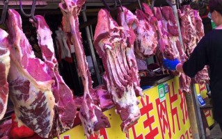 哪里有羊排（济南牛羊肉批发市场）