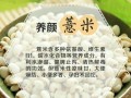 药用薏米哪里产的最好（药用的薏米跟食用薏米有什么区别）