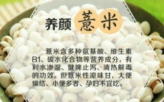 药用薏米哪里产的最好（药用的薏米跟食用薏米有什么区别）