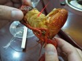 小龙虾虾腮在哪里（小龙虾的虾腮在哪）