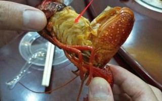 小龙虾虾腮在哪里（小龙虾的虾腮在哪）