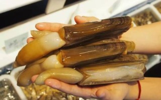 蛏子皇哪里的（一斤蛏子皇大概有多少个）