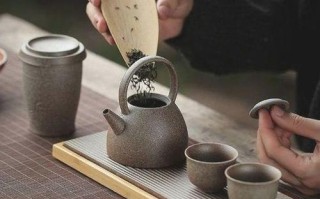 现在喝什么茶比较合适,茶茶是谁