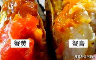 大闸蟹有蟹黄吗,大闸蟹的蟹黄在哪里图片