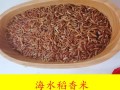 中国八大著名香米,哪里稻米好吃又香