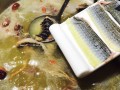 江门吃蛇最出名的地方,哪里有正宗的蛇肉火锅店