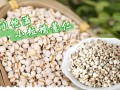 薏仁米哪里的好（哪里薏米仁最好）