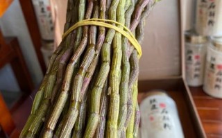 新鲜铁皮石斛的功效,鲜石斛哪里好吃