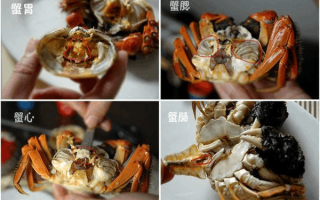 螃蟹怎么吃哪里不能吃（梭子蟹哪些部位不能吃）