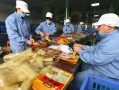 长升快餐怎么样（长升食品有限公司）