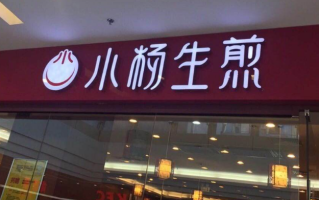 加盟小杨生煎包怎么样（加盟小杨生煎包怎么样啊）